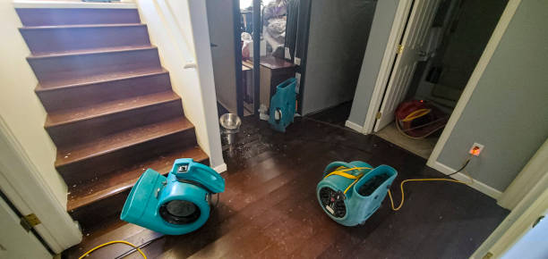 Best Water damage restoration specialists  in Benson, NC