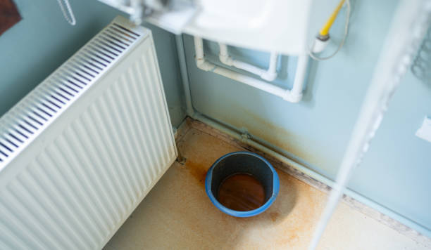 Best Ceiling water damage repair  in Benson, NC
