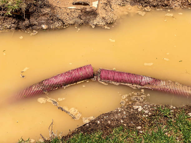 Best Emergency water damage restoration  in Benson, NC